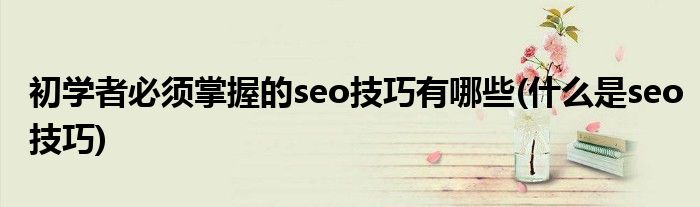 初學(xué)者必須掌握的seo技巧有哪些(什么是seo技巧)