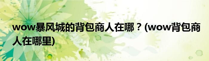 wow暴風城的背包商人在哪？(wow背包商人在哪里)