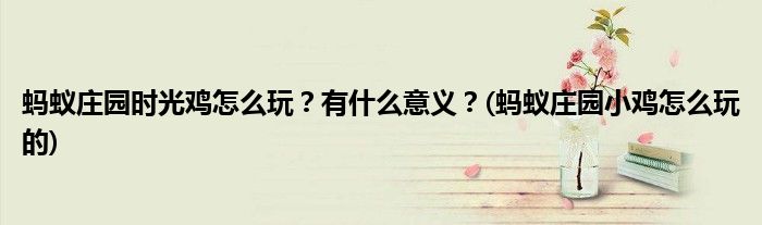 螞蟻莊園時(shí)光雞怎么玩？有什么意義？(螞蟻莊園小雞怎么玩的)