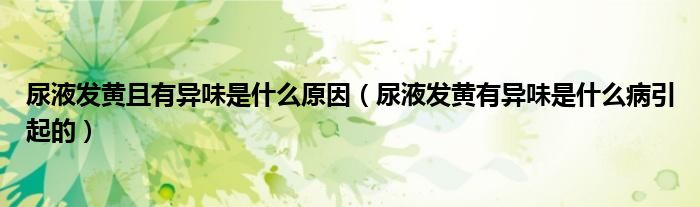 尿液發(fā)黃且有異味是什么原因(尿液發(fā)黃有異味是什么病引起的)