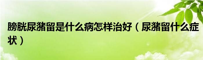 膀胱尿潴留是什么病怎樣治好(尿潴留什么癥狀)