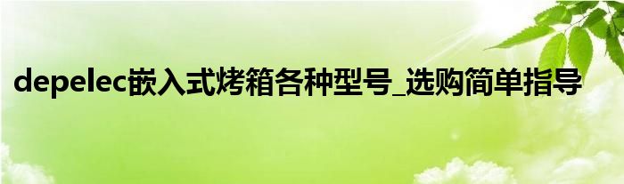 depelec嵌入式烤箱各種型號(hào)_選購(gòu)簡(jiǎn)單指導(dǎo)