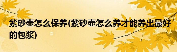 紫砂壺怎么保養(yǎng)(紫砂壺怎么養(yǎng)才能養(yǎng)出最好的包漿)
