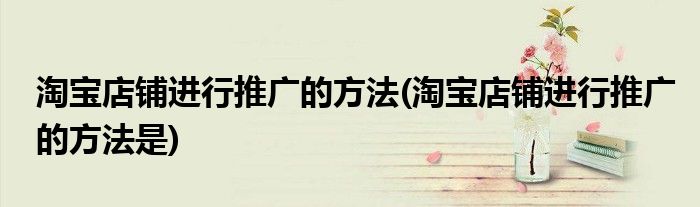 淘寶店鋪進(jìn)行推廣的方法(淘寶店鋪進(jìn)行推廣的方法是)