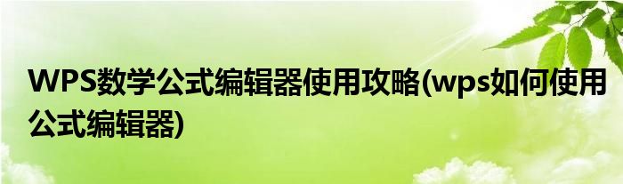 WPS數(shù)學(xué)公式編輯器使用攻略(wps如何使用公式編輯器)