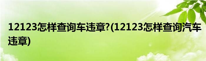 12123怎樣查詢車違章?(12123怎樣查詢汽車違章)
