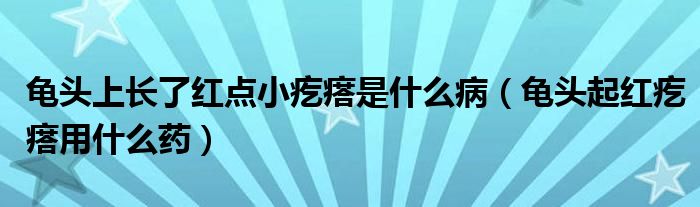 龜頭上長了紅點小疙瘩是什么?。旑^起紅疙瘩用什么藥）