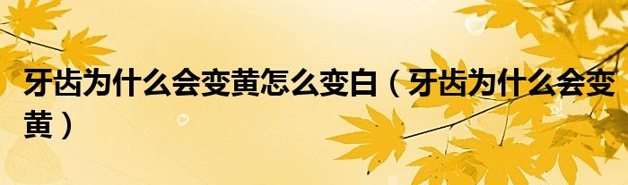 牙齒為什么會(huì)變黃怎么變白（牙齒為什么會(huì)變黃）