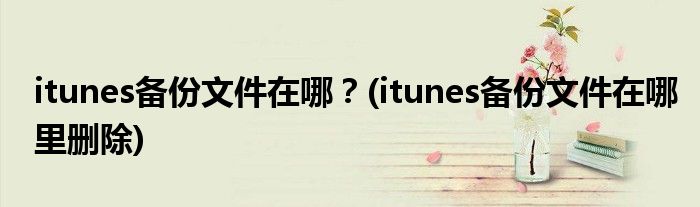 itunes備份文件在哪？(itunes備份文件在哪里刪除)