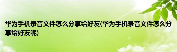 華為手機錄音文件怎么分享給好友(華為手機錄音文件怎么分享給好友呢)