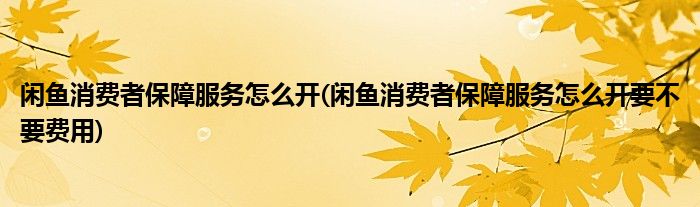 閑魚消費(fèi)者保障服務(wù)怎么開(閑魚消費(fèi)者保障服務(wù)怎么開要不要費(fèi)用)