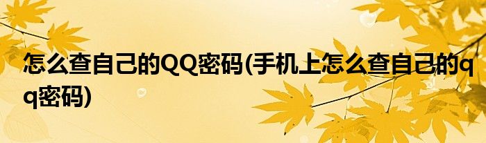 怎么查自己的QQ密碼(手機上怎么查自己的qq密碼)