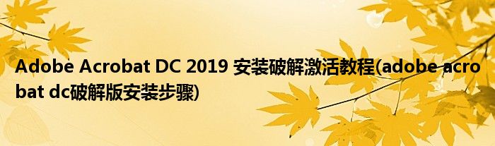 Adobe Acrobat DC 2019 安裝破解激活教程(adobe acrobat dc破解版安裝步驟)