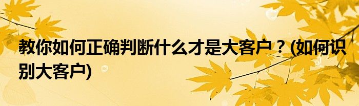 教你如何正確判斷什么才是大客戶(hù)？(如何識(shí)別大客戶(hù))