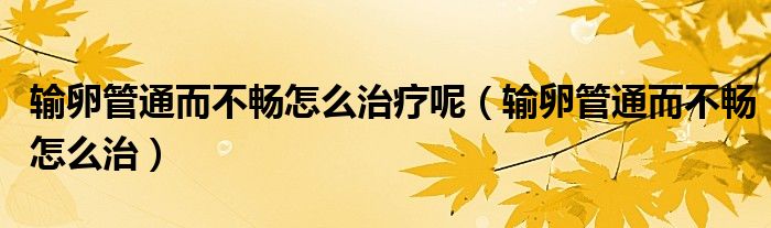 輸卵管通而不暢怎么治療呢（輸卵管通而不暢怎么治）