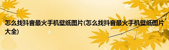 怎么找抖音最火手機(jī)壁紙圖片(怎么找抖音最火手機(jī)壁紙圖片大全)
