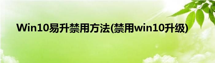Win10易升禁用方法(禁用win10升級(jí))