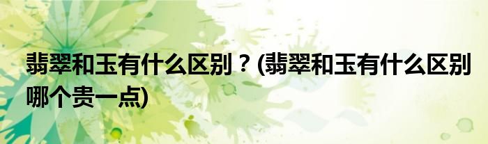 翡翠和玉有什么區(qū)別？(翡翠和玉有什么區(qū)別哪個(gè)貴一點(diǎn))