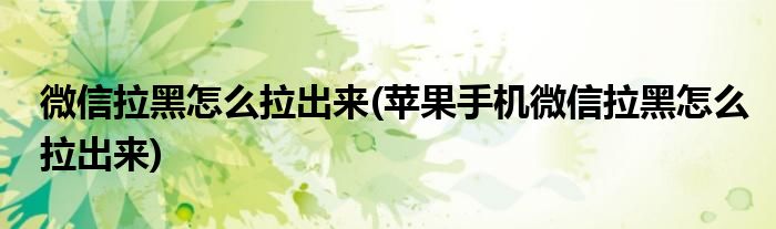 微信拉黑怎么拉出來(lái)(蘋果手機(jī)微信拉黑怎么拉出來(lái))
