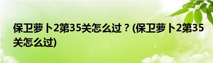 保衛(wèi)蘿卜2第35關怎么過？(保衛(wèi)蘿卜2第35關怎么過)