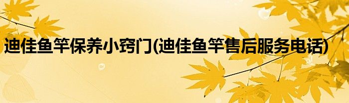 迪佳魚(yú)竿保養(yǎng)小竅門(mén)(迪佳魚(yú)竿售后服務(wù)電話)