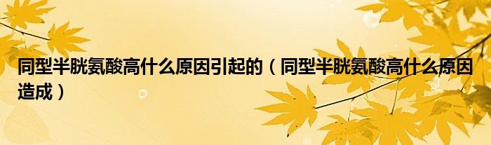 同型半胱氨酸高什么原因引起的（同型半胱氨酸高什么原因造成）