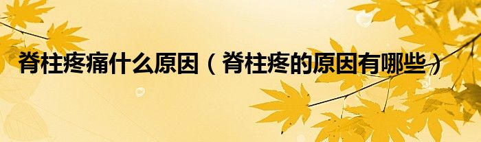 脊柱疼痛什么原因(脊柱疼的原因有哪些)