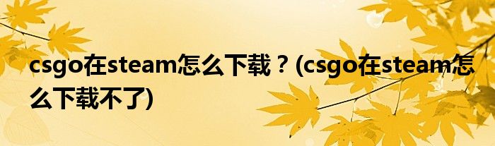 csgo在steam怎么下載？(csgo在steam怎么下載不了)