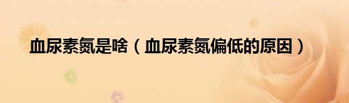 血尿素氮是啥（血尿素氮偏低的原因）