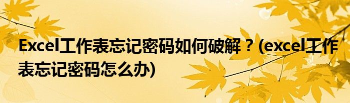 Excel工作表忘記密碼如何破解？(excel工作表忘記密碼怎么辦)
