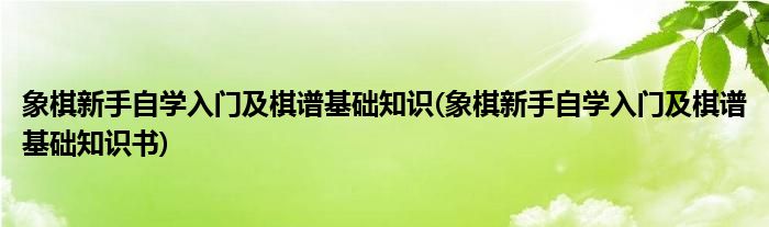 象棋新手自學(xué)入門及棋譜基礎(chǔ)知識(象棋新手自學(xué)入門及棋譜基礎(chǔ)知識書)