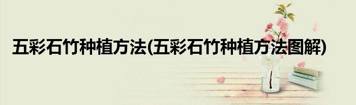 五彩石竹種植方法(五彩石竹種植方法圖解)