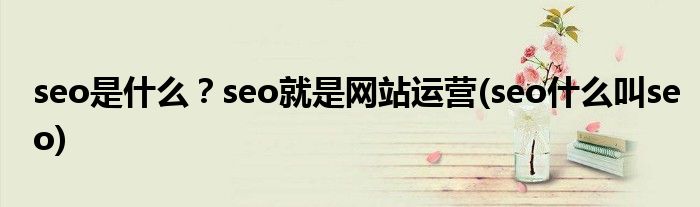 seo是什么？seo就是網(wǎng)站運營(seo什么叫seo)