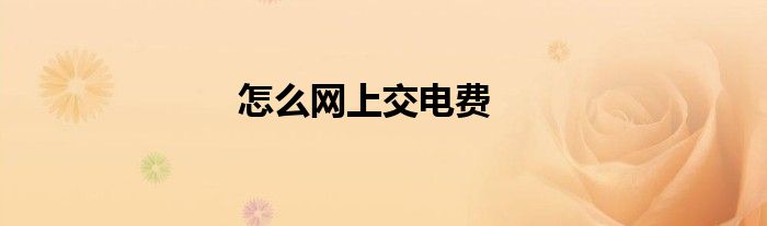 怎么網上交電費