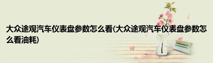 大眾途觀汽車(chē)儀表盤(pán)參數(shù)怎么看(大眾途觀汽車(chē)儀表盤(pán)參數(shù)怎么看油耗)