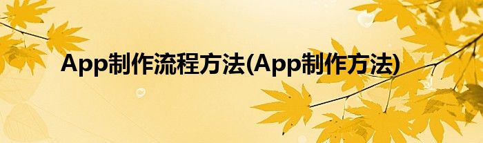 App制作流程方法(App制作方法)