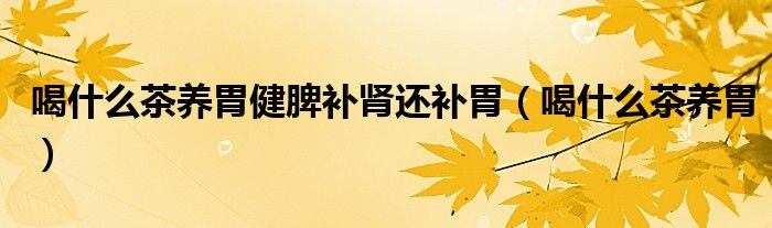 喝什么茶養(yǎng)胃健脾補(bǔ)腎還補(bǔ)胃（喝什么茶養(yǎng)胃）