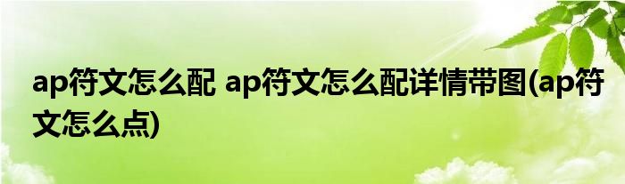 ap符文怎么配 ap符文怎么配詳情帶圖(ap符文怎么點(diǎn))