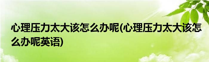 心理壓力太大該怎么辦呢(心理壓力太大該怎么辦呢英語)