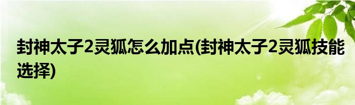 封神太子2靈狐怎么加點(diǎn)(封神太子2靈狐技能選擇)