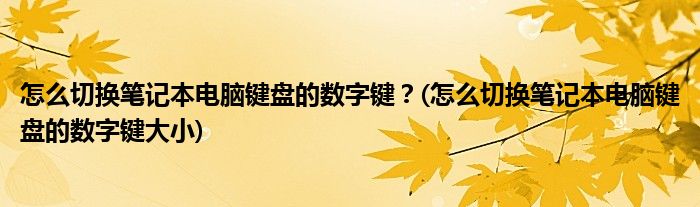 怎么切換筆記本電腦鍵盤的數(shù)字鍵？(怎么切換筆記本電腦鍵盤的數(shù)字鍵大小)