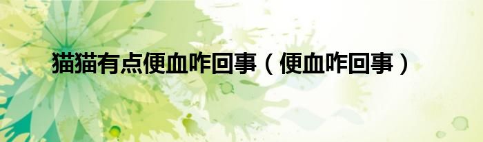貓貓有點便血咋回事（便血咋回事）