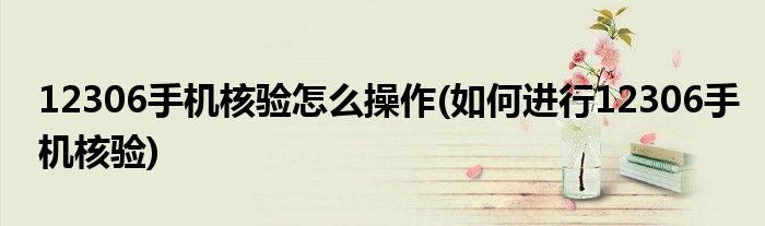 12306手機核驗怎么操作(如何進(jìn)行12306手機核驗)