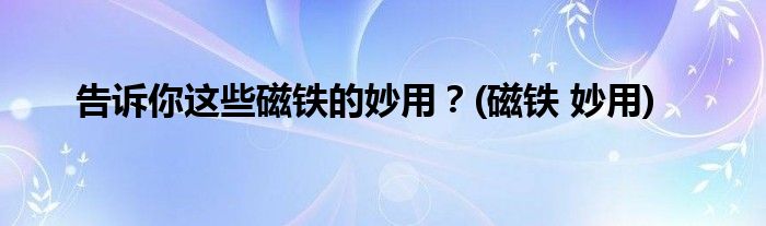 告訴你這些磁鐵的妙用？(磁鐵 妙用)