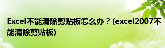 Excel不能清除剪貼板怎么辦？(excel2007不能清除剪貼板)