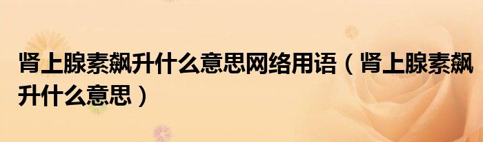 腎上腺素飆升什么意思網(wǎng)絡(luò)用語（腎上腺素飆升什么意思）