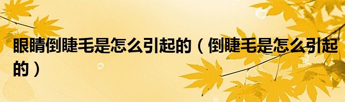 眼睛倒睫毛是怎么引起的(倒睫毛是怎么引起的)
