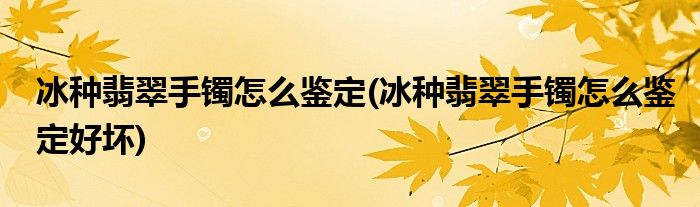 冰種翡翠手鐲怎么鑒定(冰種翡翠手鐲怎么鑒定好壞)