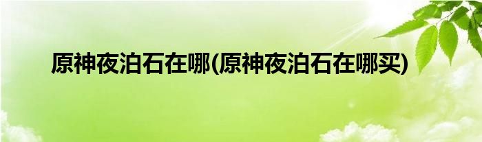 原神夜泊石在哪(原神夜泊石在哪買)