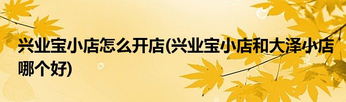 興業(yè)寶小店怎么開(kāi)店(興業(yè)寶小店和大澤小店哪個(gè)好)